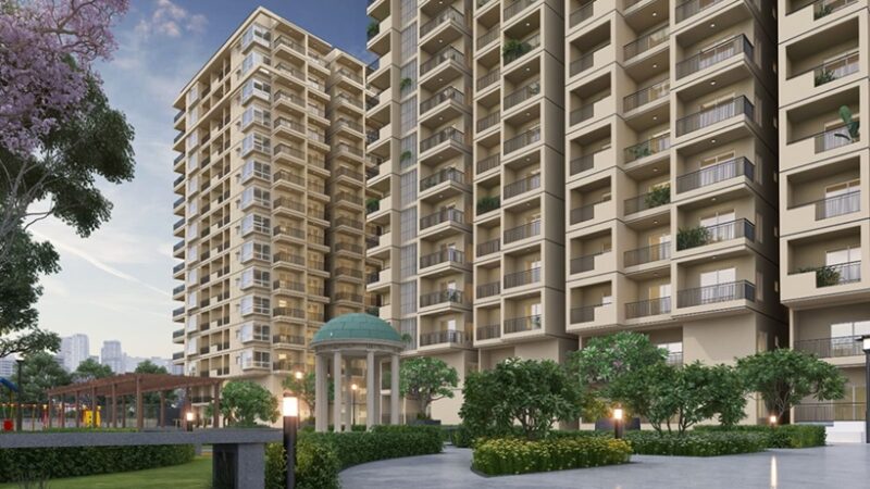 DS-Max_Sky_Field_Mainview-3